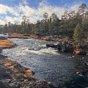 Urho Kekkonen