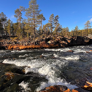 Urho Kekkonen