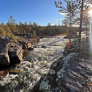 Urho Kekkonen